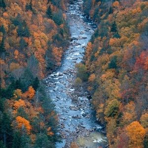 Meet your Posher, Katlyn